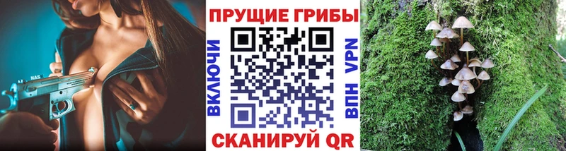купить закладку  Опочка  Галлюциногенные грибы ЛСД 